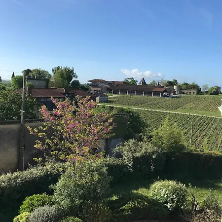 Spacious In The Heart Of The Vineyards Saint-Seurin-de-Cadourne